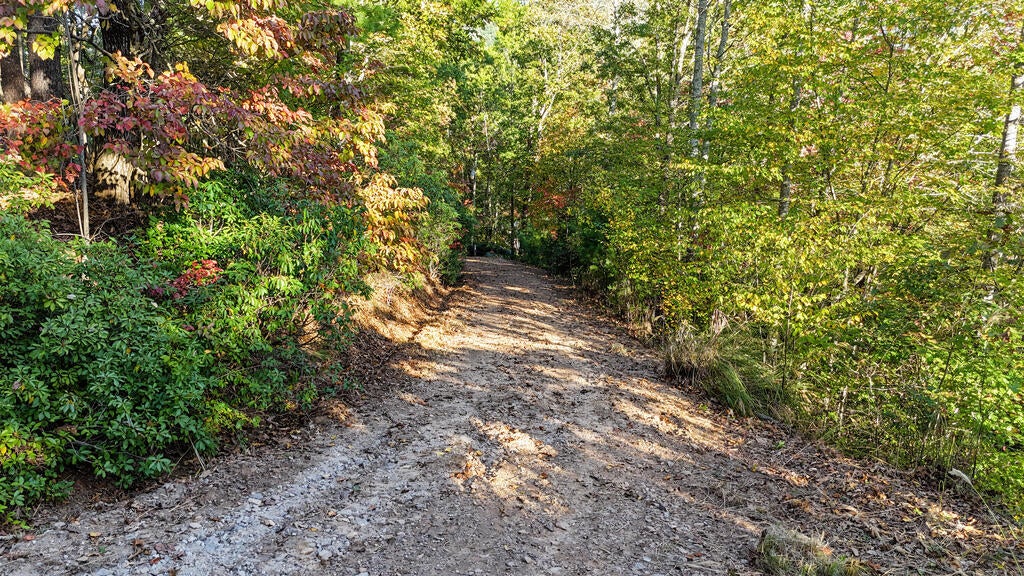 760 Otto Heights Rd