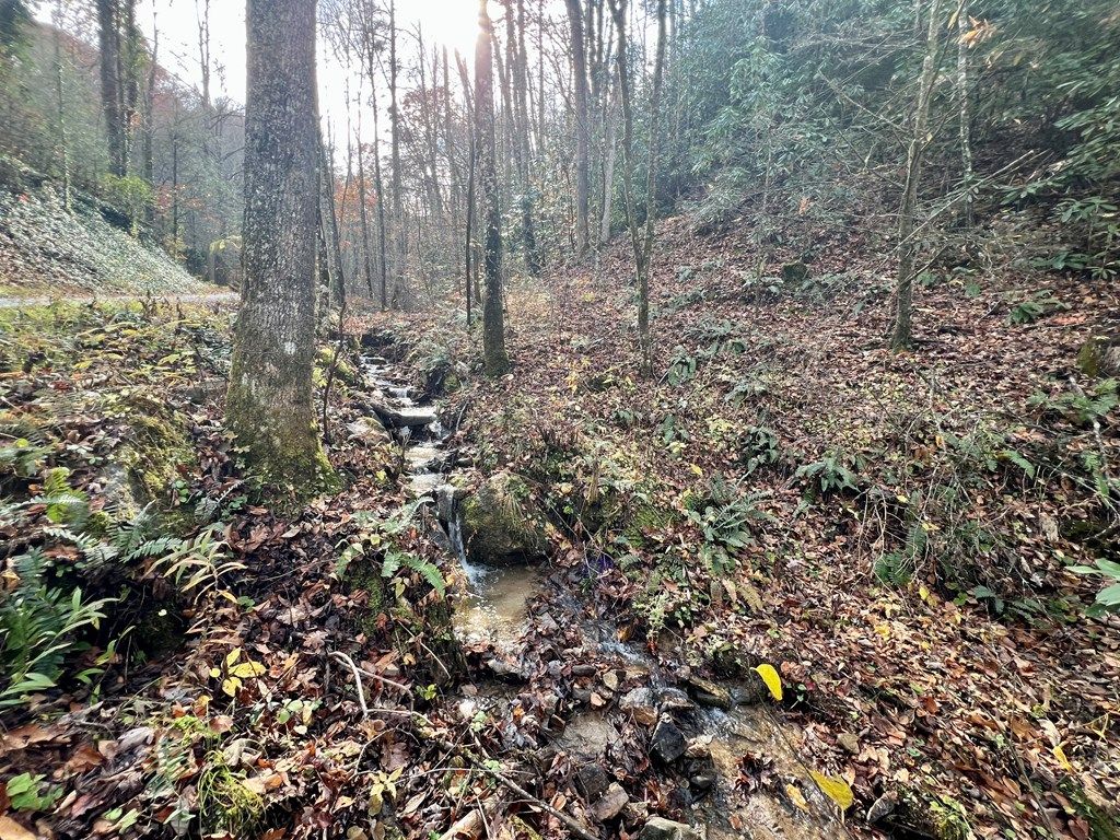Photo of 00 Battle Branch Rd, Bryson City, NC 28713 (MLS # 26042610)