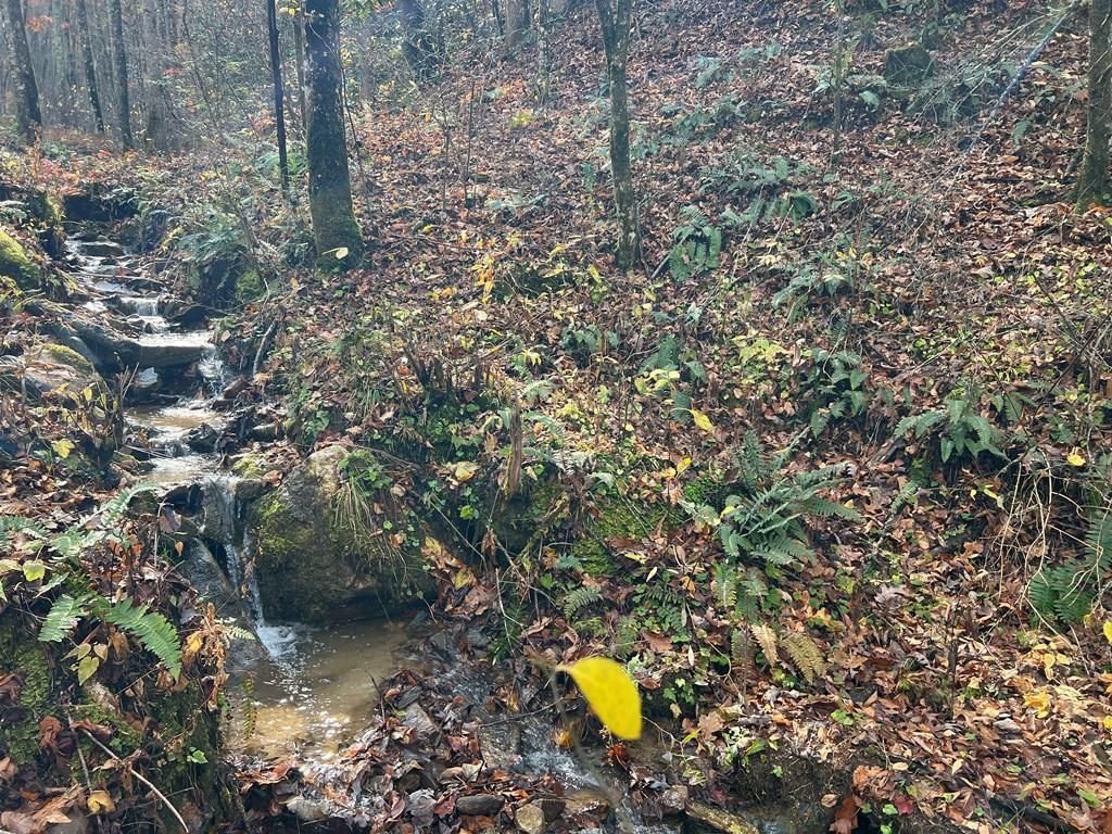 Photo of 00 Battle Branch Rd, Bryson City, NC 28713 (MLS # 26042610)