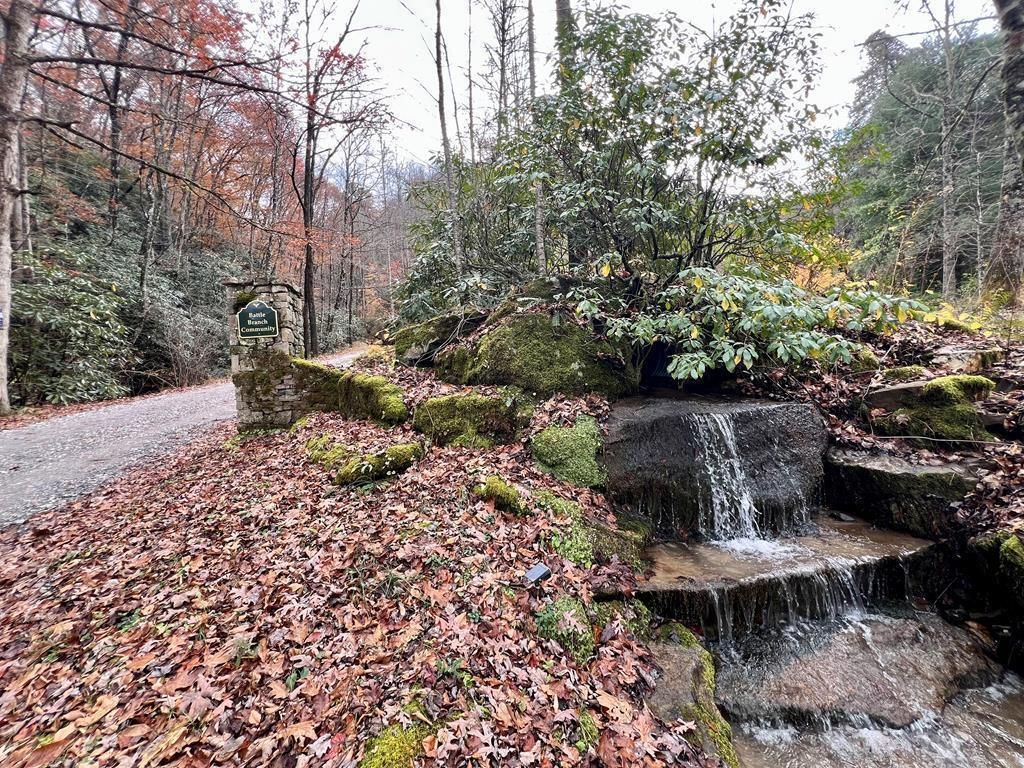 Photo of 00 Battle Branch Rd, Bryson City, NC 28713 (MLS # 26042610)