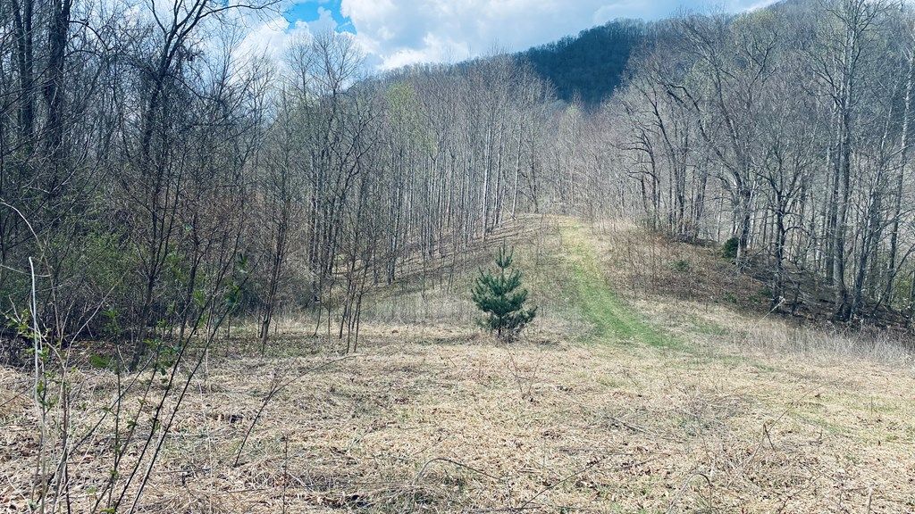 Photo of Lot 5 Brasstown Rd, Cullowhee, NC 28779 (MLS # 26046780)