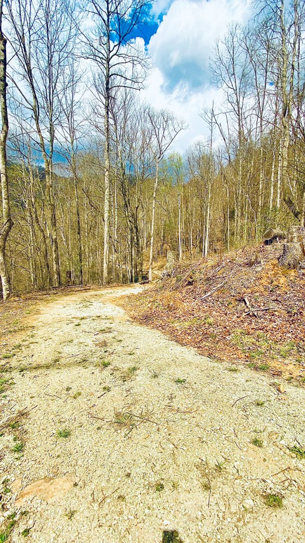 Photo of Lot 5 Brasstown Rd, Cullowhee, NC 28779 (MLS # 26046780)