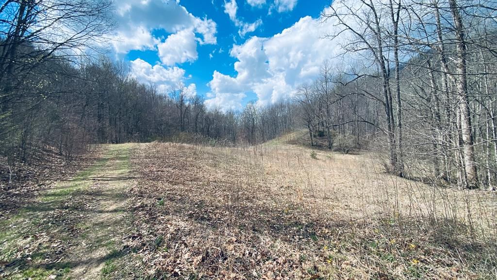 Photo of Lot 5 Brasstown Rd, Cullowhee, NC 28779 (MLS # 26046780)