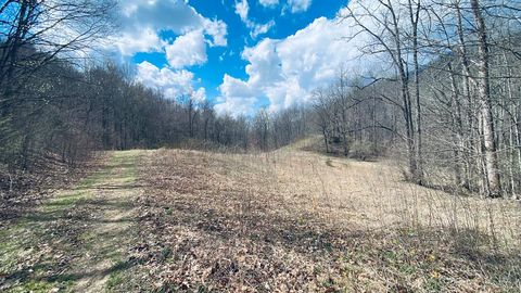 Photo of Lot 5 Brasstown Rd, Cullowhee, NC 28779 (MLS # 26046780)