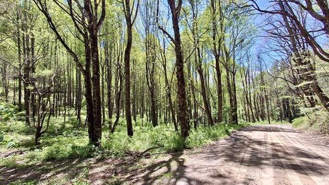 Photo of 00000 Cold Mountain Road, Highlands, NC 28741 (MLS # 26047295)