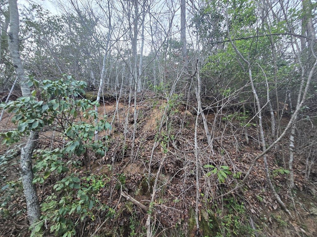 Photo of Lt 5 Running Water Cir, Sylva, NC 28779 (MLS # 26040771)