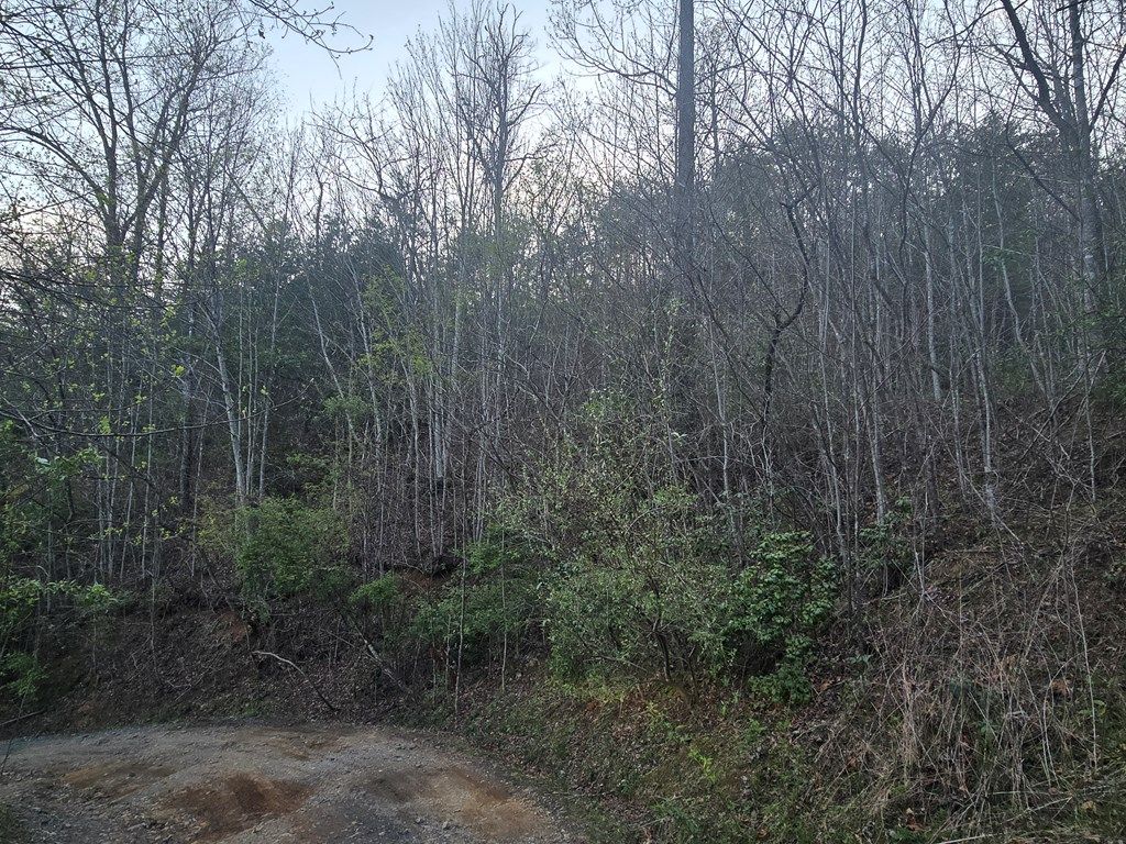 Photo of Lt 5 Running Water Cir, Sylva, NC 28779 (MLS # 26040771)