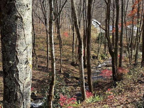 Photo of 2094 Fisher Creek Road, Sylva, NC 28779 (MLS # 26045240)