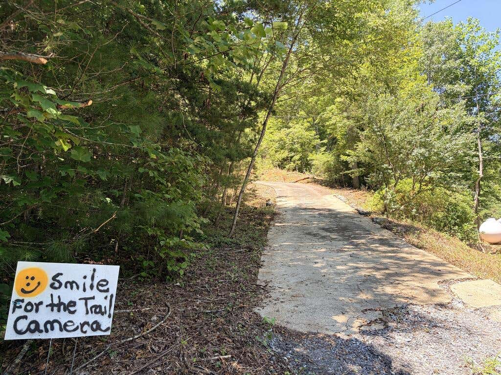 Photo of 257, 404 Loose Wire Way, Sylva, NC 28779 (MLS # 26048298)