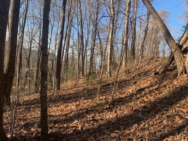 Bryson City, North Carolina 28713, United States, ,Land,Active,7009