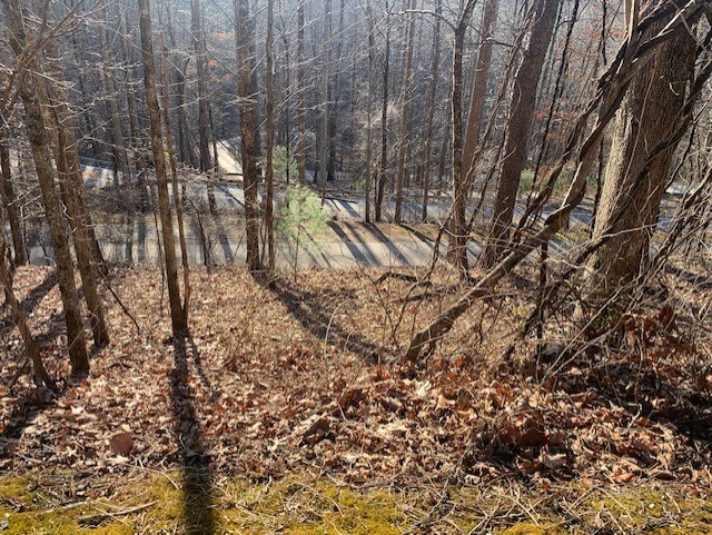 Bryson City, North Carolina 28713, United States, ,Land,Active,7009