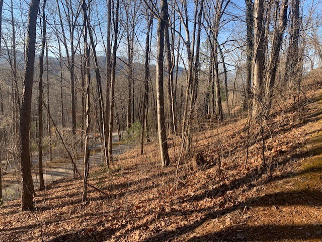 Bryson City, North Carolina 28713, United States, ,Land,Active,7009