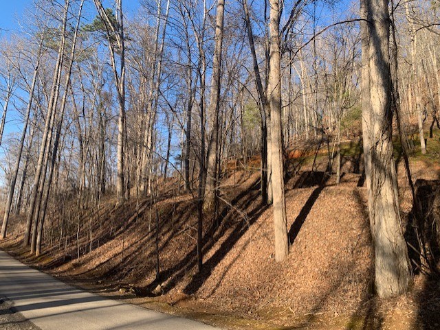 Bryson City, North Carolina 28713, United States, ,Land,Active,7009