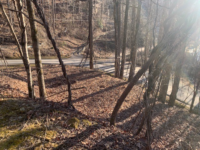 Bryson City, North Carolina 28713, United States, ,Land,Active,7009