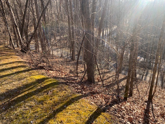 Bryson City, North Carolina 28713, United States, ,Land,Active,7009