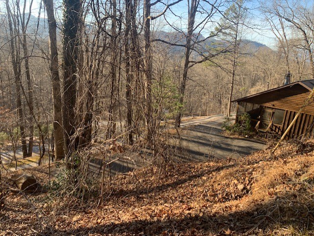 Bryson City, North Carolina 28713, United States, ,Land,Active,7009