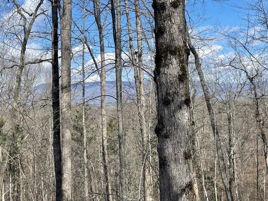Photo of Lot 61-3 Fontana Loop South, Bryson City, NC 28713 (MLS # 26046580)
