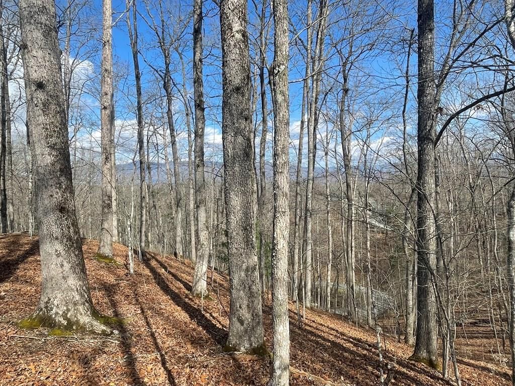 Photo of Lot 61-3 Fontana Loop South, Bryson City, NC 28713 (MLS # 26046580)