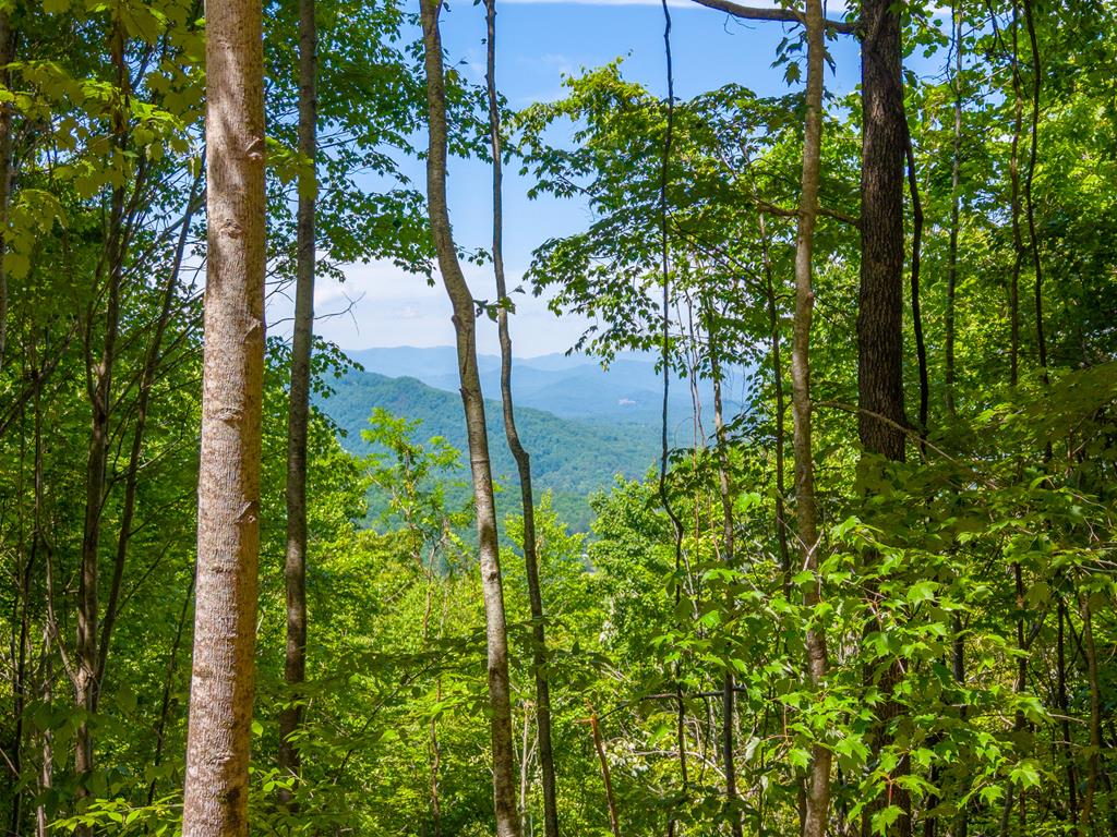 00 Fox Den Ridge