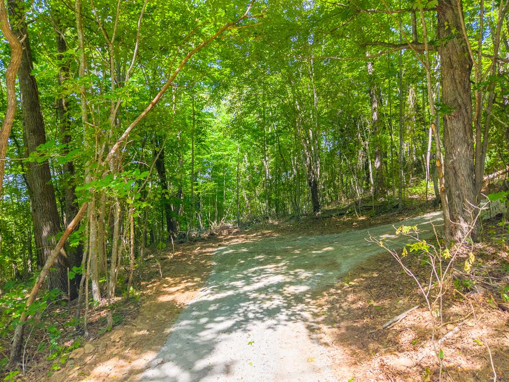 00 Fox Den Ridge