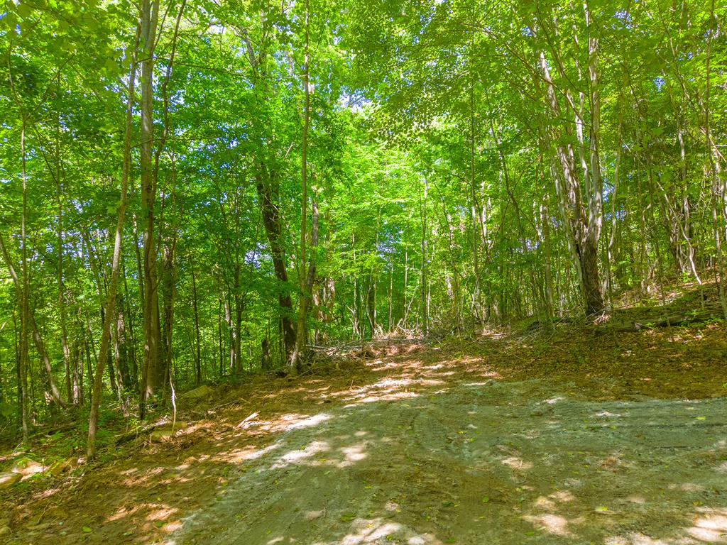 00 Fox Den Ridge