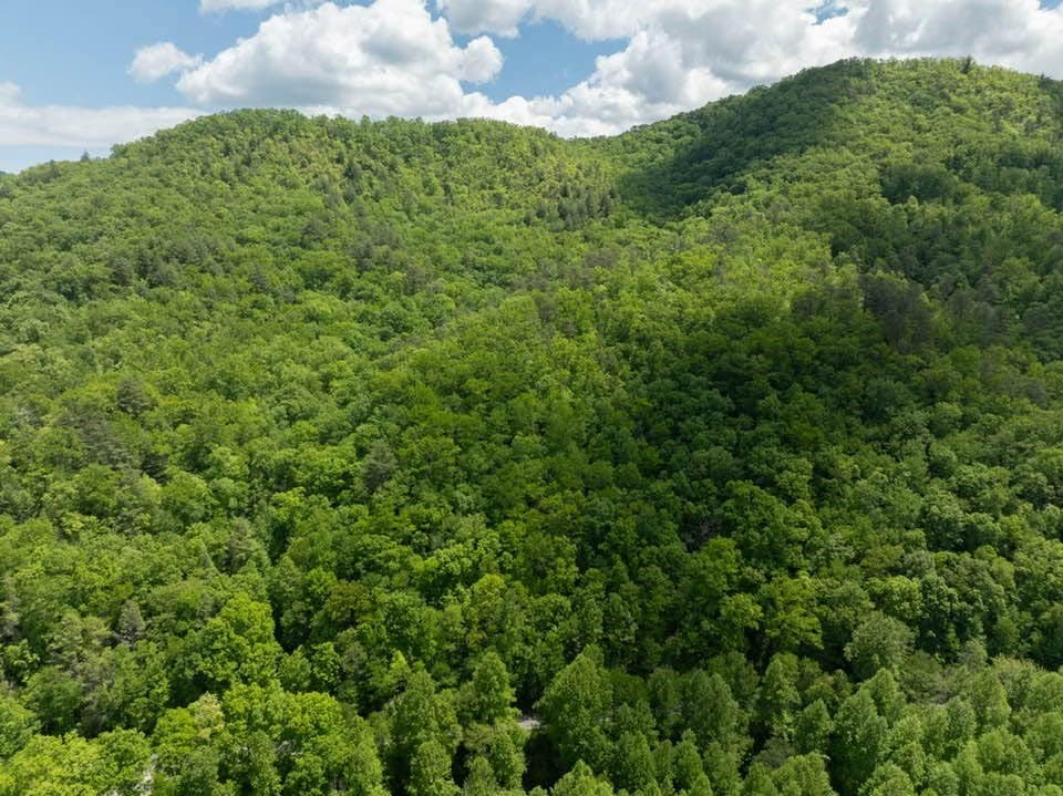 Photo of 000 Lower Sawyers Creek Rd, Robbinsville, NC 28771 (MLS # 26047919)