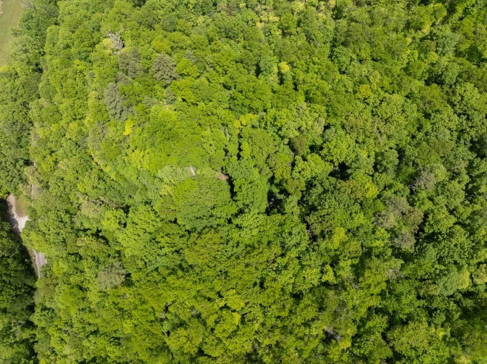 Photo of 000 Lower Sawyers Creek Rd, Robbinsville, NC 28771 (MLS # 26047919)