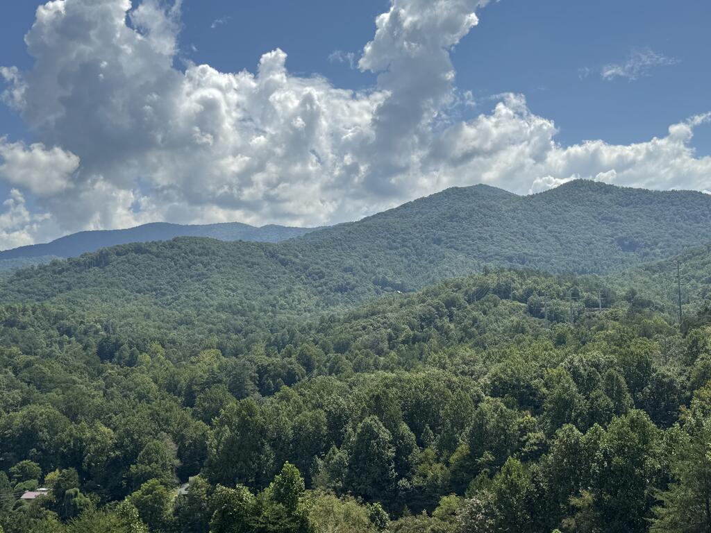 Photo of 95 Oakwood Dr, Bryson City, NC 28713 (MLS # 26048361)