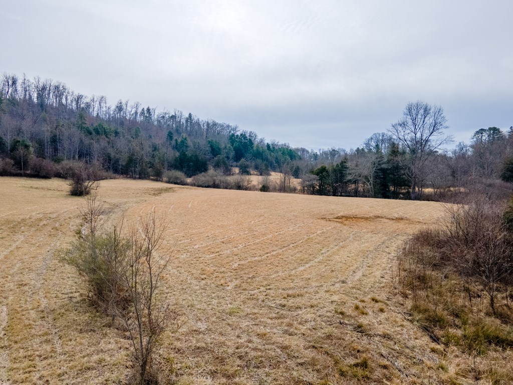 0 Georgia Rd