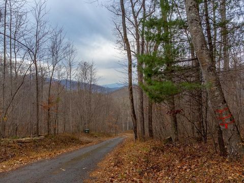 Photo of 00 River Road Trace, Franklin, NC 28734 (MLS # 26042746)