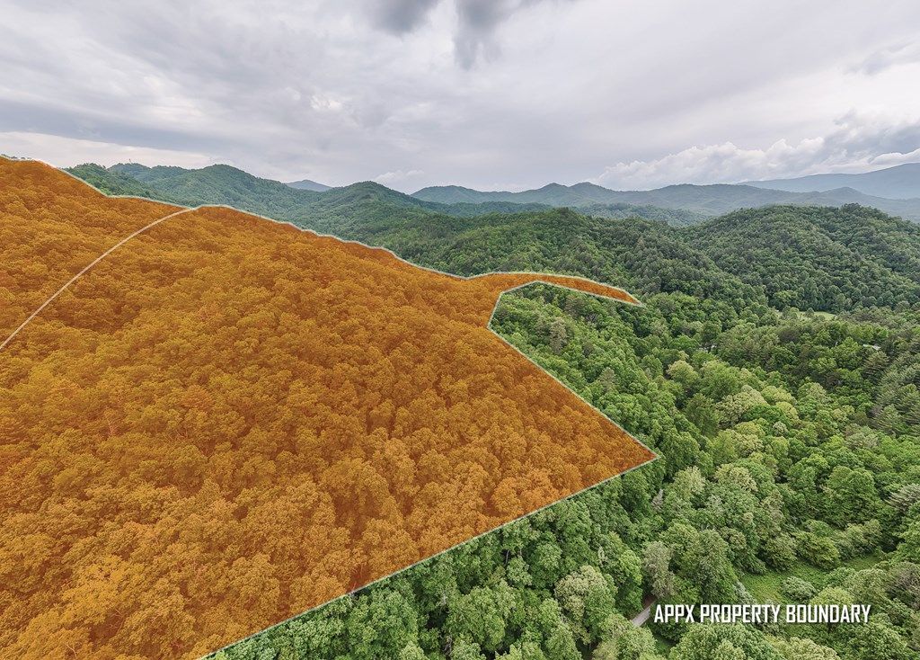 Photo of 399 Shell Stand Road, Almond, NC 28702 (MLS # 26041015)