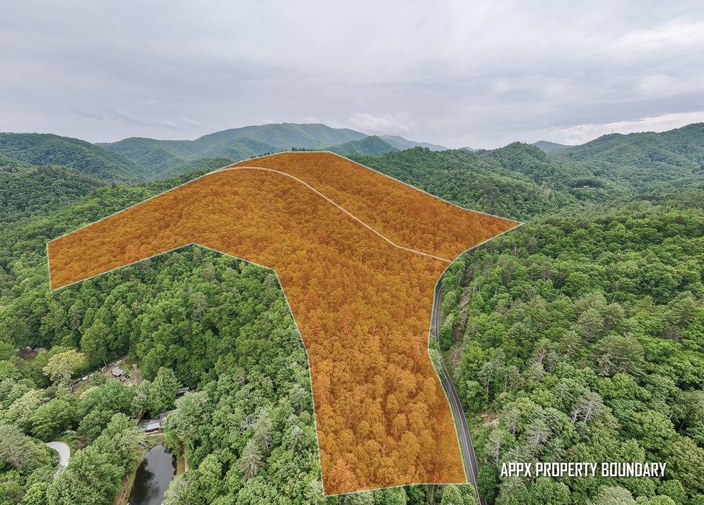 Photo of 399 Shell Stand Road, Almond, NC 28702 (MLS # 26041015)