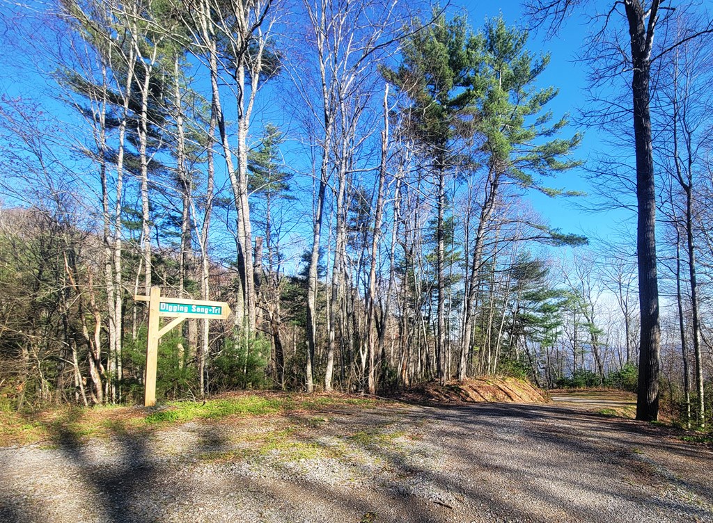 111 Digging Seng Trail #138,