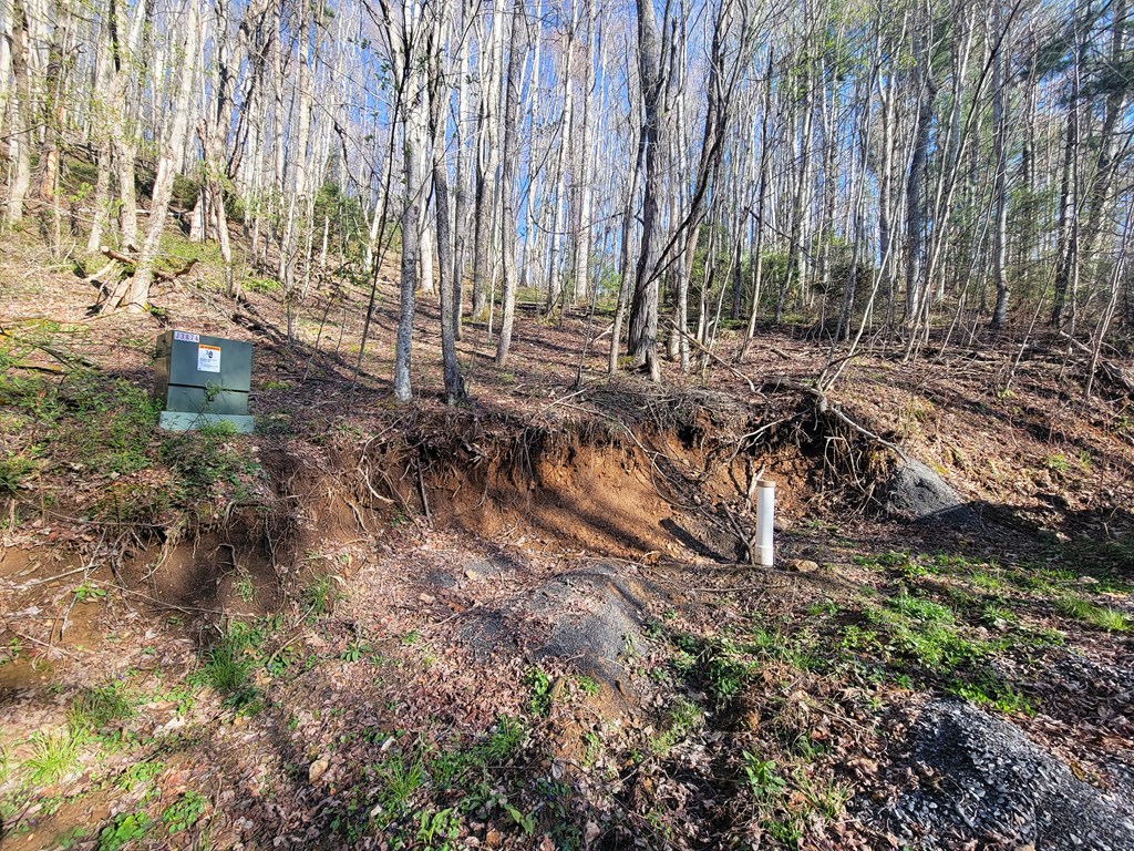 111 Digging Seng Trail #138,
