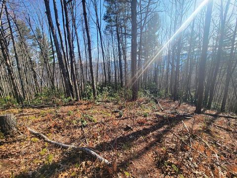 Photo of 111 Digging Seng Trail #138, Trl, Waynesville, NC 28785 (MLS # 26047114)