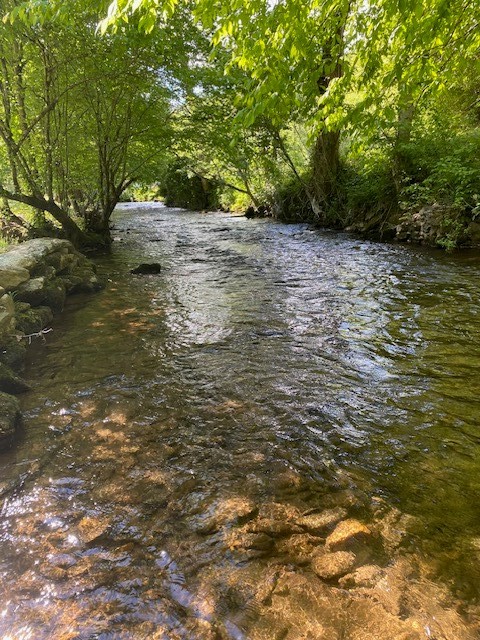 5643 Upper Burningtown Rd