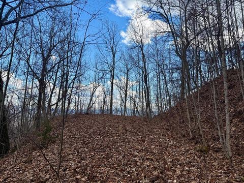 Photo of 0 Lyle Mountain Trail, Franklin, NC 28734 (MLS # 26045439)