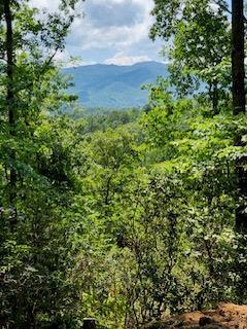 Photo of 00 19 Marr Heights, Bryson City, NC 28713 (MLS # 26037588)