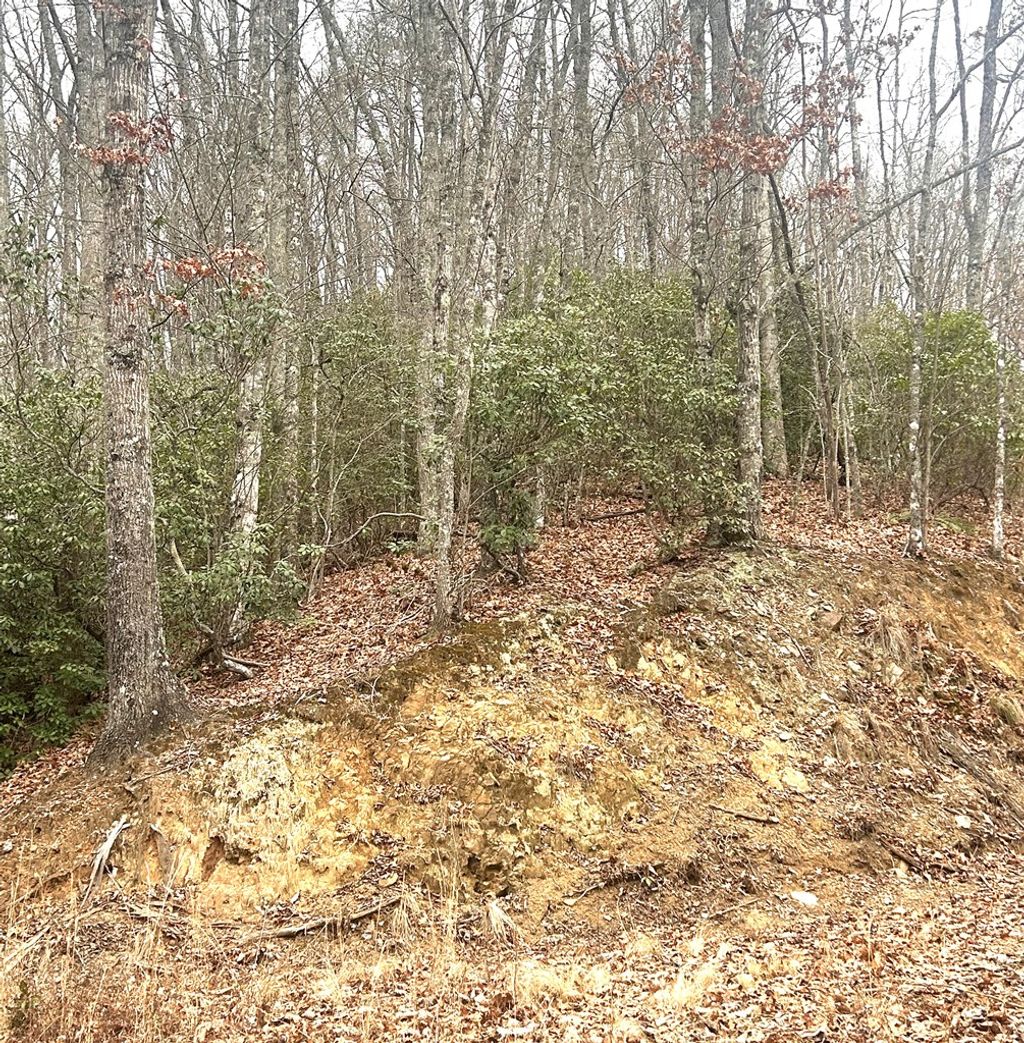 Photo of 0 Upper Sawyer Creek, Robbinsville (Graham), NC 28713 (MLS # 26045253)