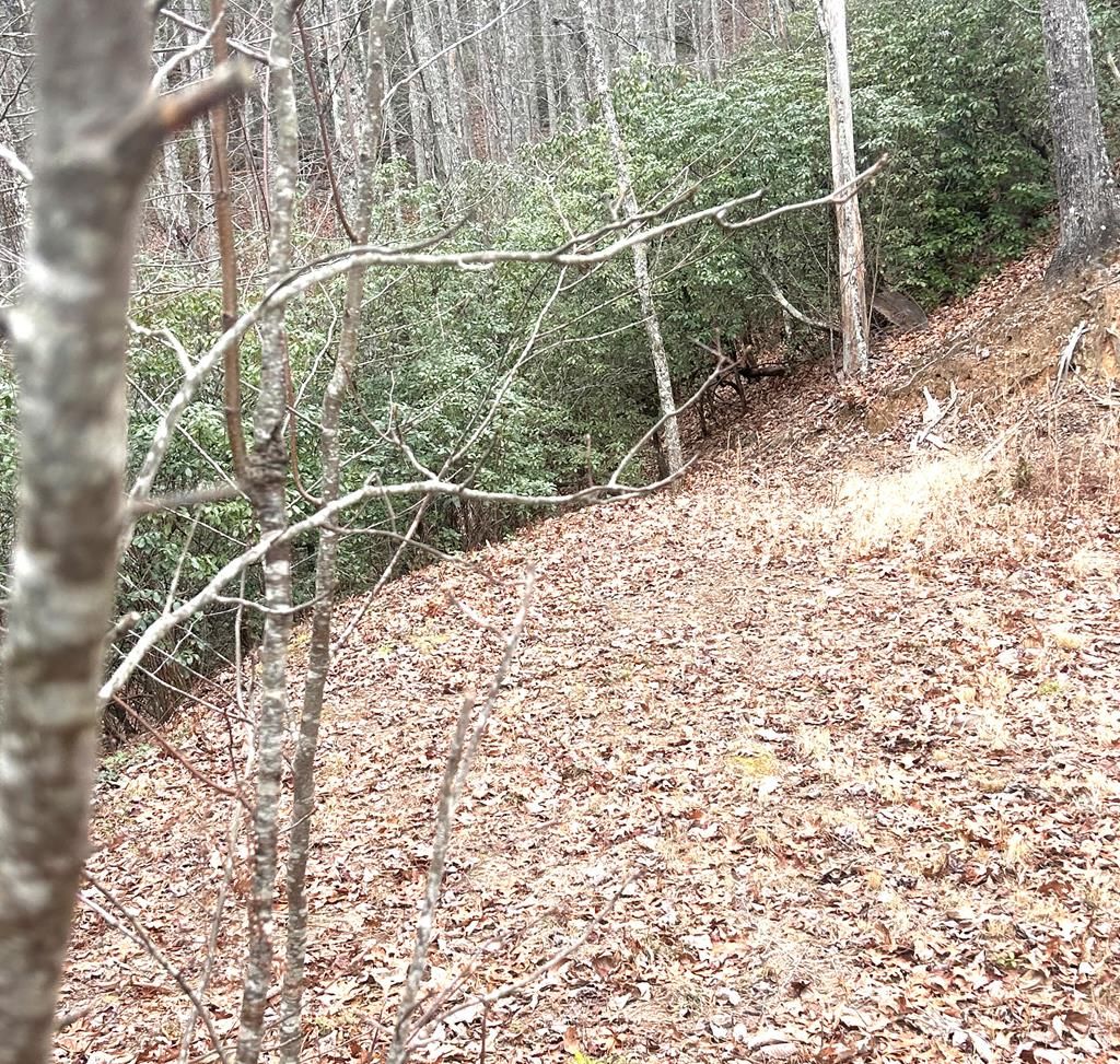 Photo of 0 Upper Sawyer Creek, Robbinsville (Graham), NC 28713 (MLS # 26045253)