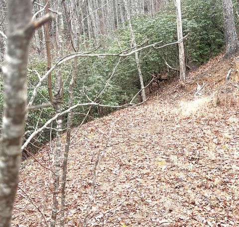 Photo of 0 Upper Sawyer Creek, Robbinsville (Graham), NC 28713 (MLS # 26045253)