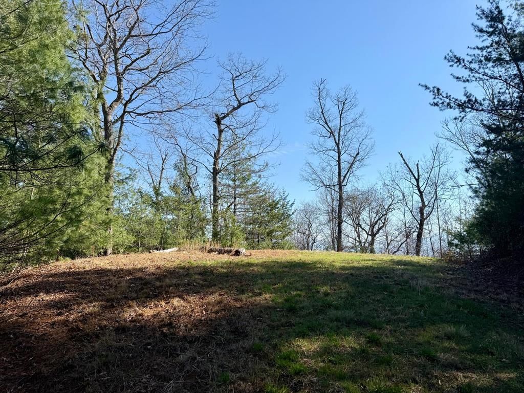 Photo of 0 Lost Indian Trail, Whittier, NC 28789 (MLS # 26046675)