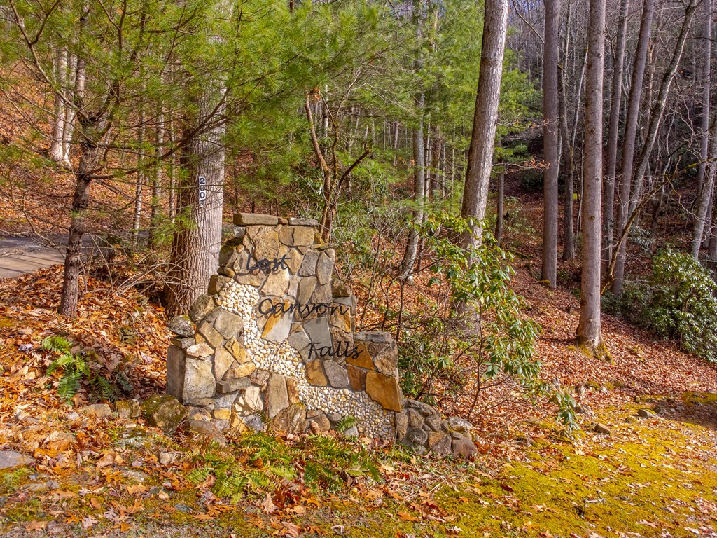 2001 Little Ellijay Rd