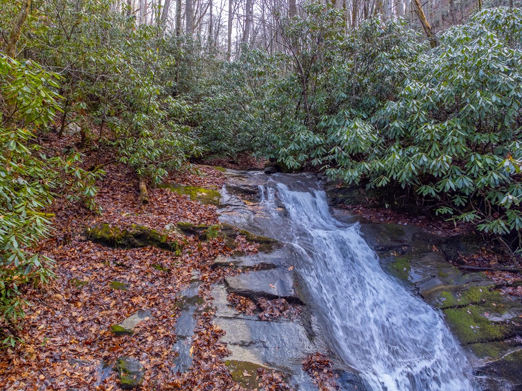 2001 Little Ellijay Rd