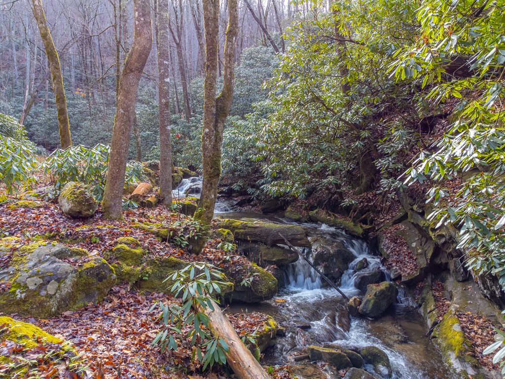 2001 Little Ellijay Rd