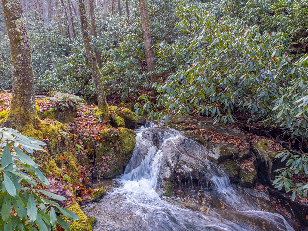 2001 Little Ellijay Rd