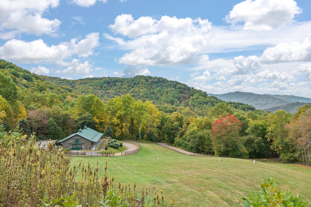Photo of 45 Smoke Vine Trl, Clyde, NC 28721 (MLS # 26048795)