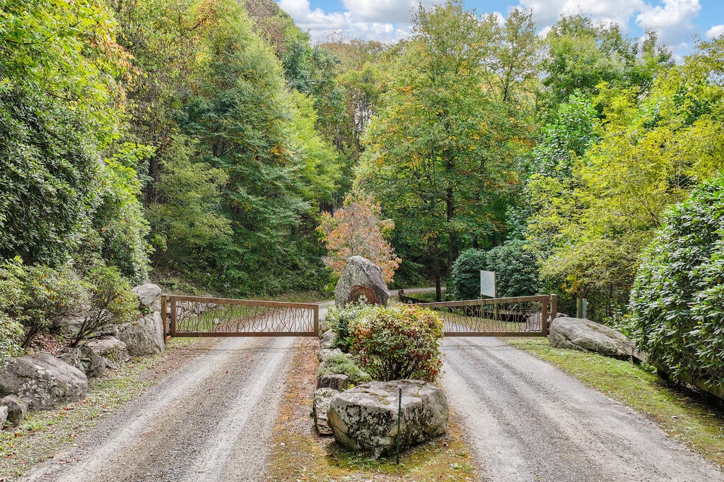 Photo of 45 Smoke Vine Trl, Clyde, NC 28721 (MLS # 26048795)