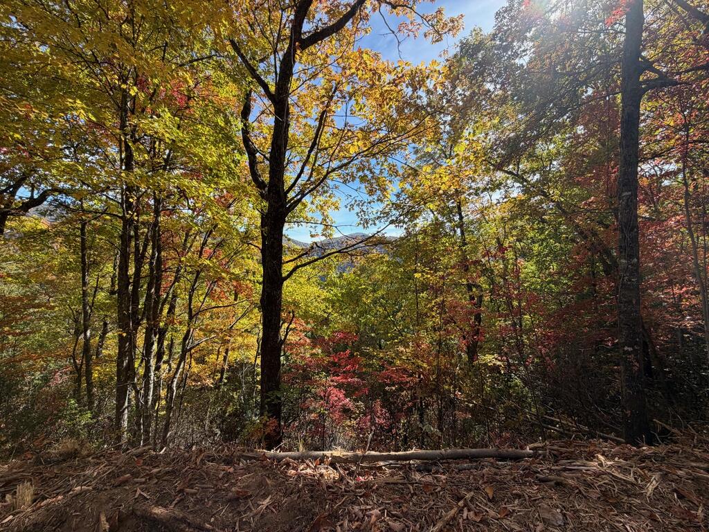 Photo of Lot 11 High Springs Road, Bryson City, NC 28713 (MLS # 26048889)