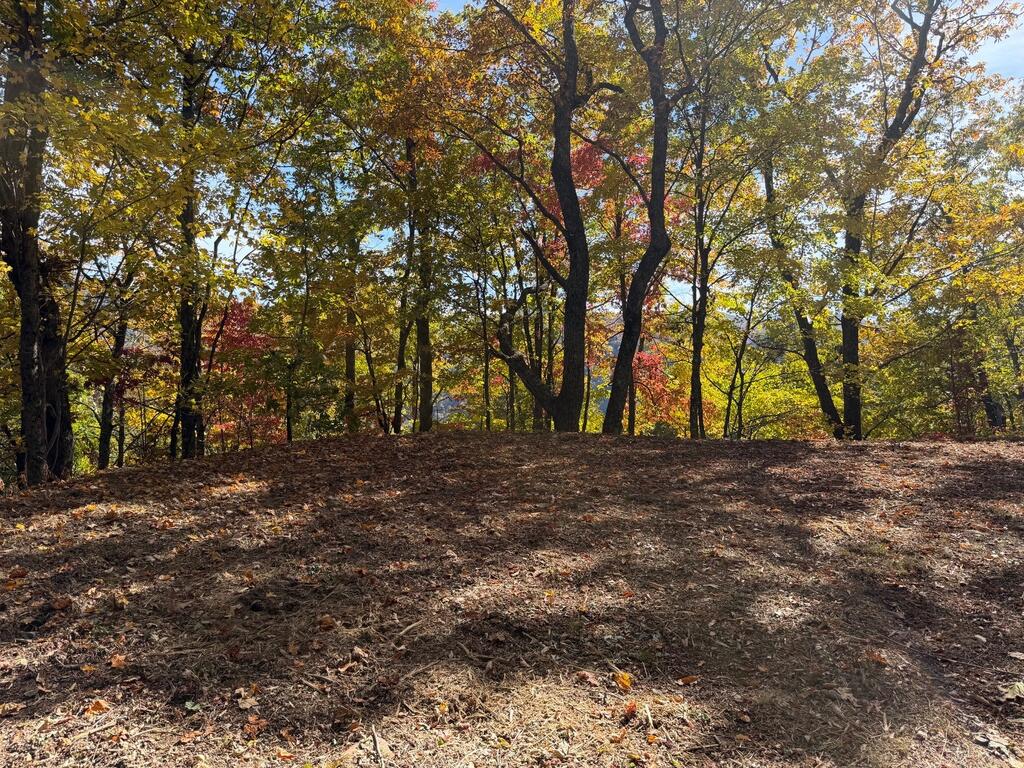 Photo of Lot 11 High Springs Road, Bryson City, NC 28713 (MLS # 26048889)